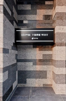 DIPS十条仲原WEST 