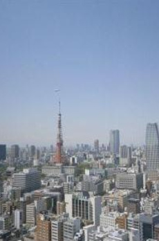 東京ツインパークス レフトウィング 