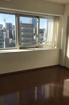 新橋プラザビルコアレジデンス 