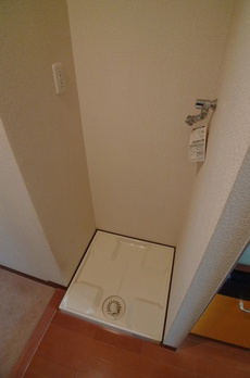 魔法の森 