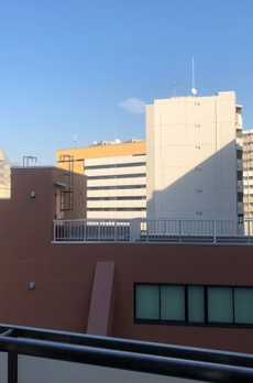 apollo apartment 