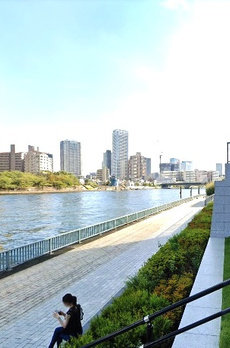 サザンフロント新富町 