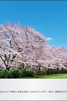 THE PARK HABIO住吉 