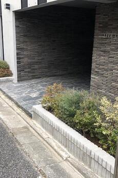 ルーチェ学芸大学 