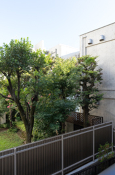 ブラウベルグ表参道 