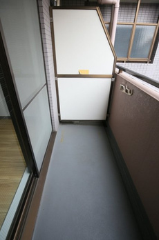 スカイノブレ川崎柳町 