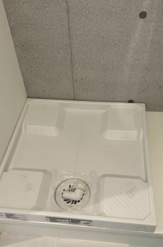 ＬＡＰｉＳ本郷 