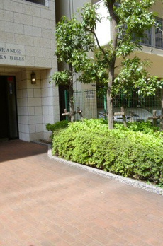 ミリオングランデ元赤坂ヒルズ 