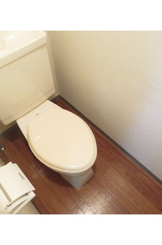 ドミール上池台 