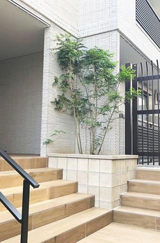 ＡＩＦＬＡＴ　ＭＥＪＩＲＯ 