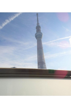 Ｌａ　Ｐａｉｘ　Ｓｋｙｔｒｅｅ　ﾗﾍﾟｽｶｲﾂﾘｰ 