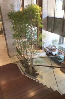 パークシティ大崎　ザ　タワー 