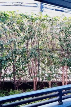 ＫＤＸレジデンス宮前平 