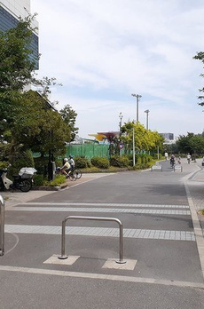 Ｌｉｎｏ　ａｓａｋｕｓａ 