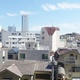 ディームス渋谷本町 