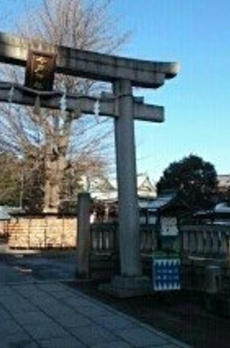 Ｌｉｎｏ　ａｓａｋｕｓａ 