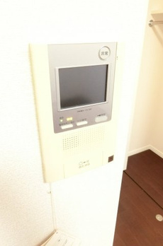 SYNEX HON-KOMAGOME 