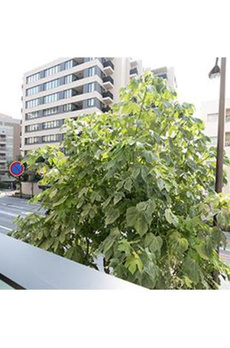 グランクリュ新宿御苑 