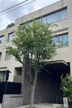 ウェリス代官山猿楽町 
