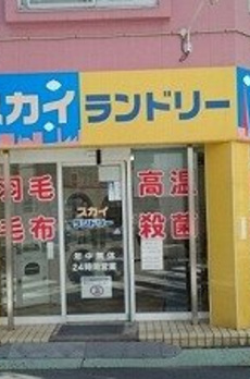アンジュ 