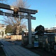 Ｌｉｎｏ　ａｓａｋｕｓａ 