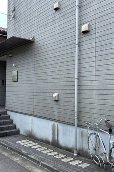 FAIR世田谷桜 