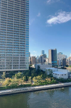 ＤｅＬＣＣＳ　ＴＯＫＹＯ　ＢＡＹ 