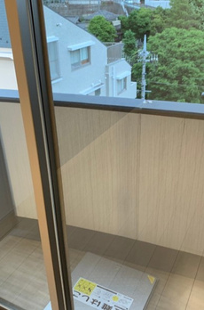 SYFORME DEN-EN-CHOFU-MINAMI Asyl Court 