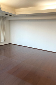 コスモポリス品川 
