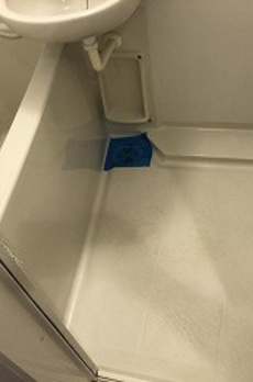ブライズ大森 