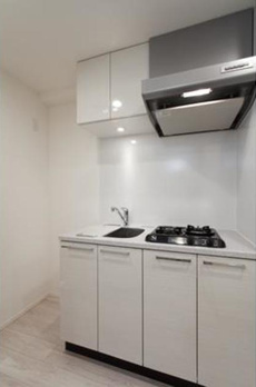 レビスタ白金高輪 