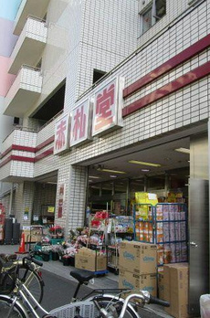 ザ・ライオンズ池袋 