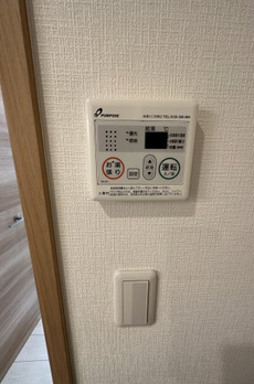 ラナンキュラス西糀谷 