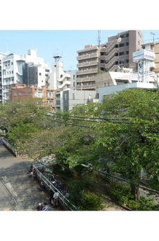 ＬＥＧＡＬＡＮＤ都立大学Ⅱ 