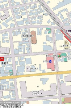 ダイアパレス千鳥町 