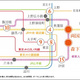 プラウドフラット両国Ⅱ 
