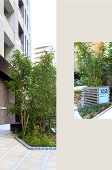 パークアクシス月島マチュアスタイル 