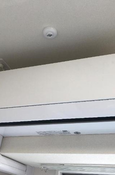 クレスト　タイガー 