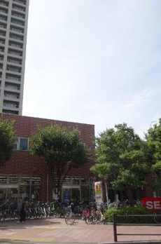 クレスト　タイガー 