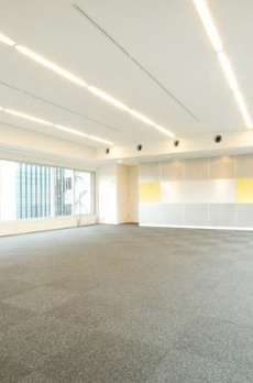 DUPLEX GINZA TOWER 8/14 