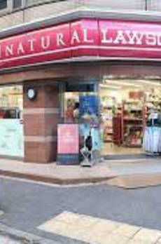 Ｔｏｔｓｕ　Ｓｈｉｍｂａｓｈｉ　ＢＬＤ．Ⅱ 