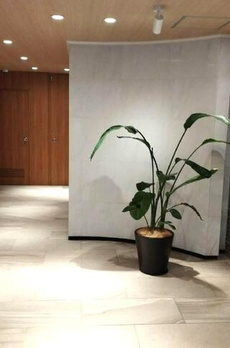 六本木コート 