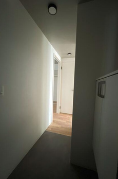 白金レーベル 