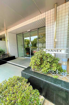 ＣＨＡＮＥＸ 