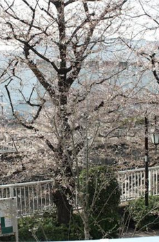 ＺＯＯＭ高田馬場ＷＥＳＴ 