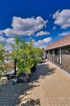 パレロワイヤル本駒込曙町 