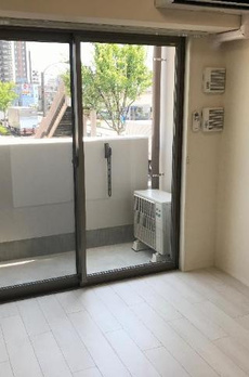 クレスト　タイガー 