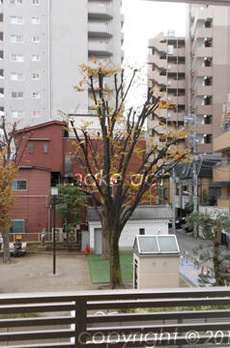エクセレントシティ白金高輪 