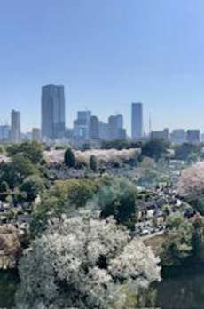 南青山マスターズハウス 