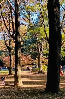 ジオグランデ代々木の杜 